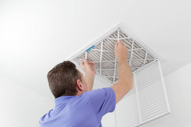 Best Professional Duct Cleaning Services  in Port St Joe, FL